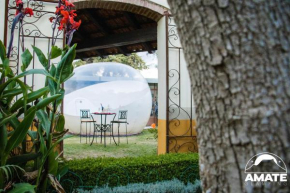 Glamping Amate - Hotel Burbuja Tlaxcala, Huamantla